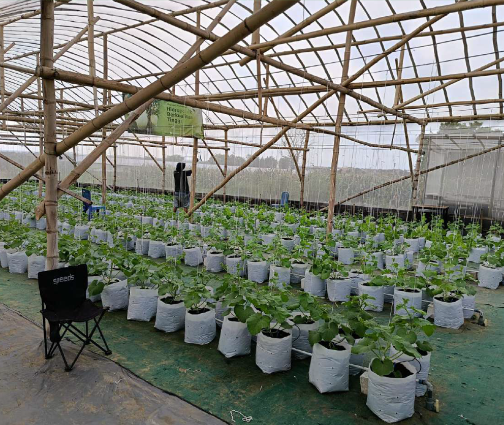 portofolio sedayulawas 4