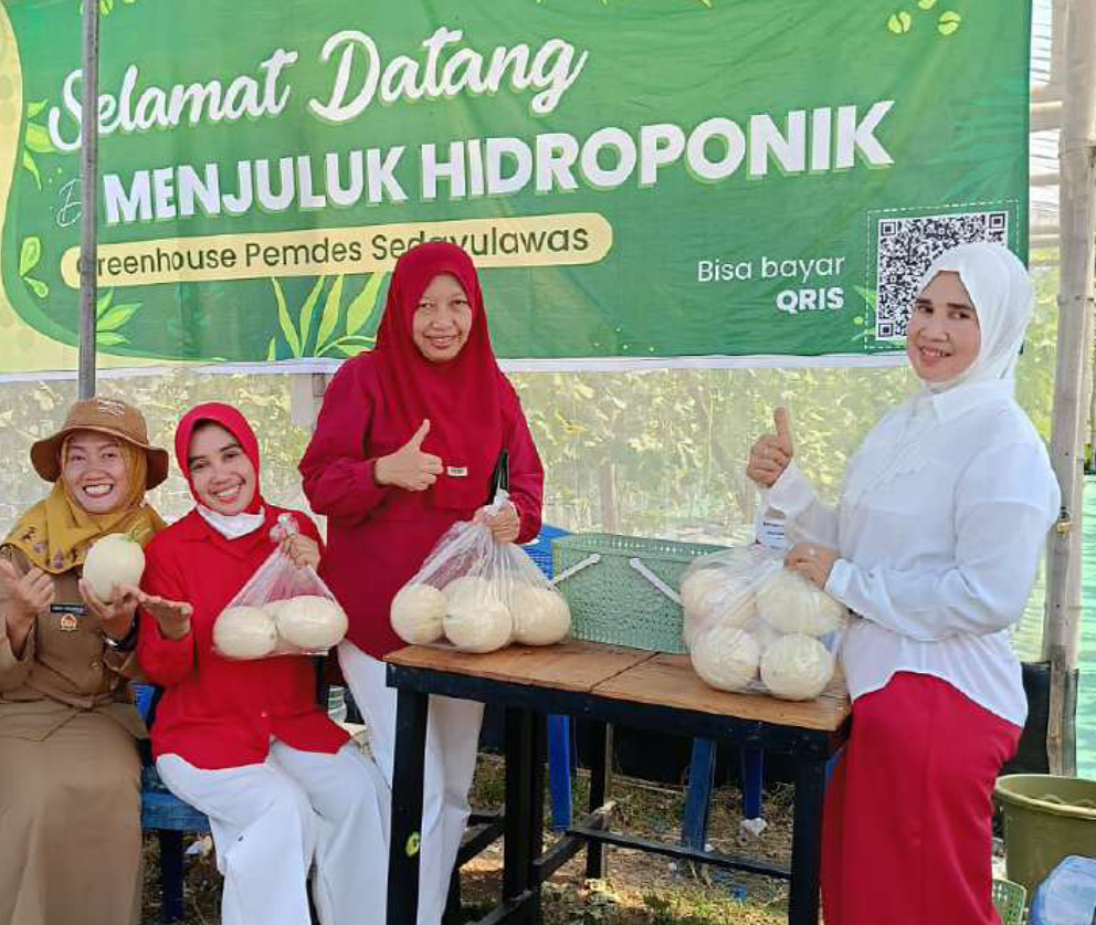 portofolio sedayulawas 5